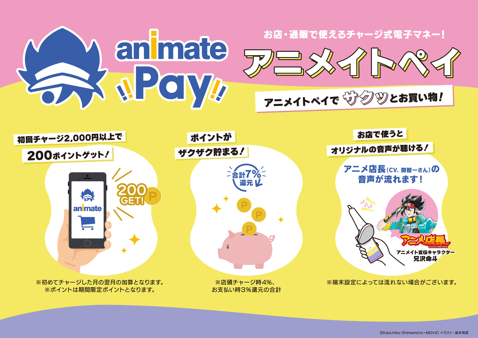 animate Pay